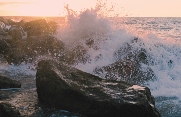 Shedding Light on Fearful Avoidant: Overcoming Inner Conflict and Fostering Safety